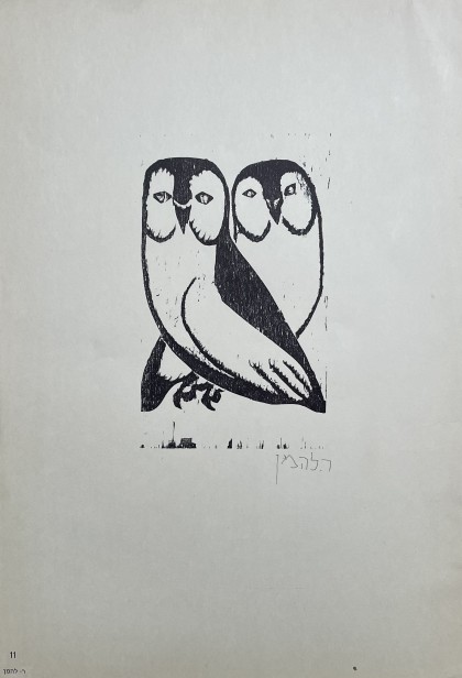 Owls,