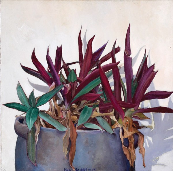 Plant, 2005