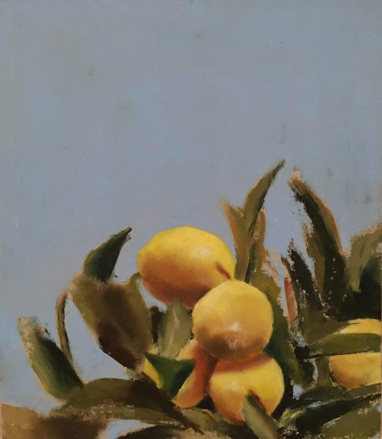 Lemons, 2015