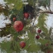 Pomegranates, 2015